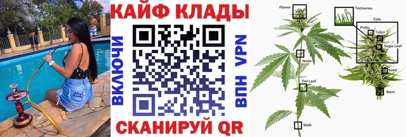 Где купить наркоту Бор Каннабис  Меф мяу мяу  КОКАИН  Alpha-PVP  ГАШИШ 
