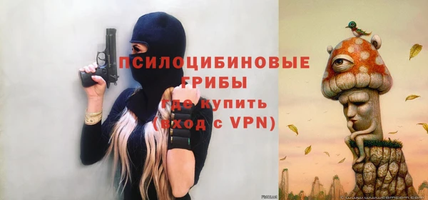 тгк Струнино