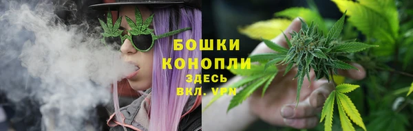 сатива Баксан