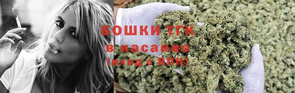 сатива Баксан